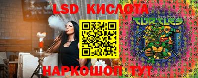 прущие грибы Пугачёв