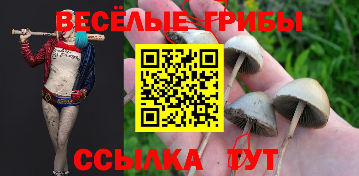 Славгород  Псилоцибиновые грибы мухоморы  Галлюциногенные грибы ЛСД  Вход с VPN 